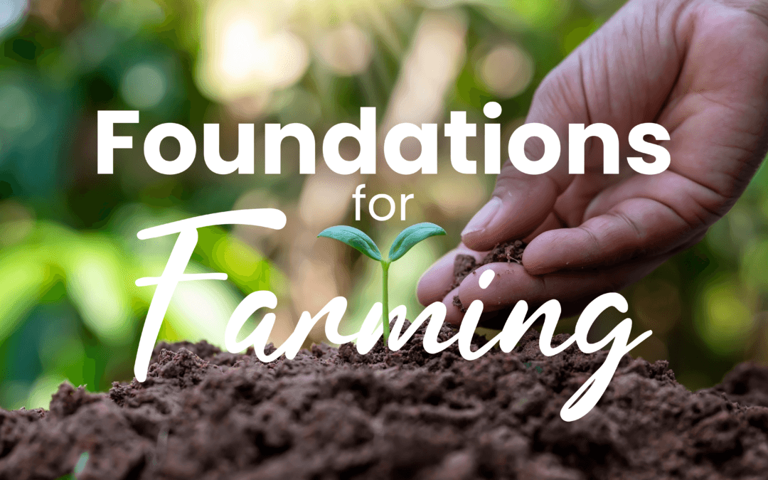 Fixing Fractured Foundations